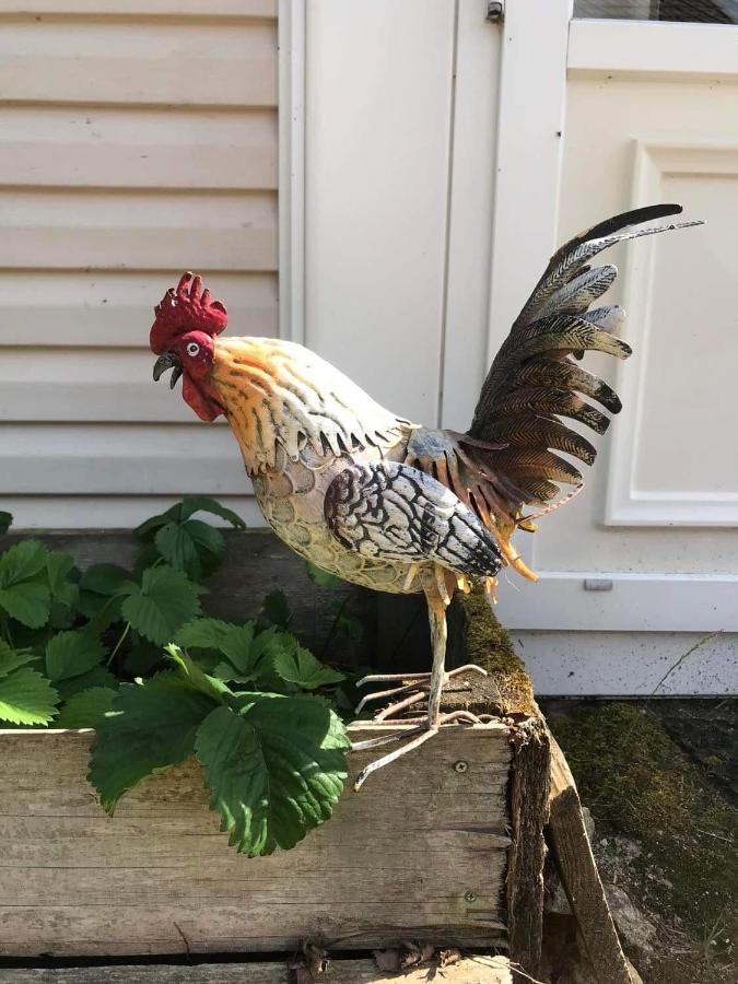 Mobil Home A La Ferme Saint-Martin-de-la-Mer المظهر الخارجي الصورة